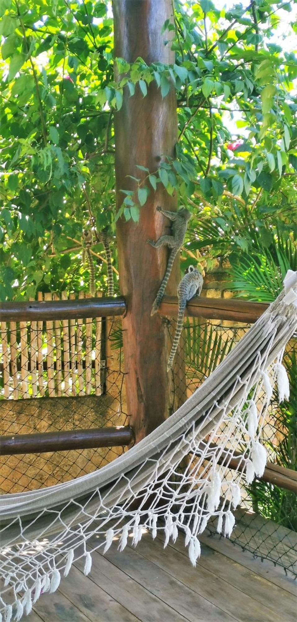 Vila Emanuelle Pousada Boutique Sao Miguel do Gostoso Ngoại thất bức ảnh